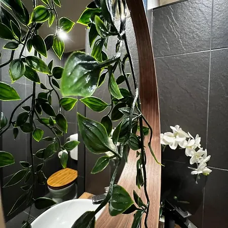 Gasthof Dunavoelgyi Vendeghaz 3*